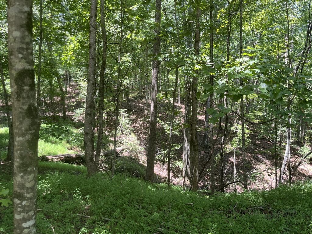 0 Twin Oaks, Ellijay GA 30540 - Photo