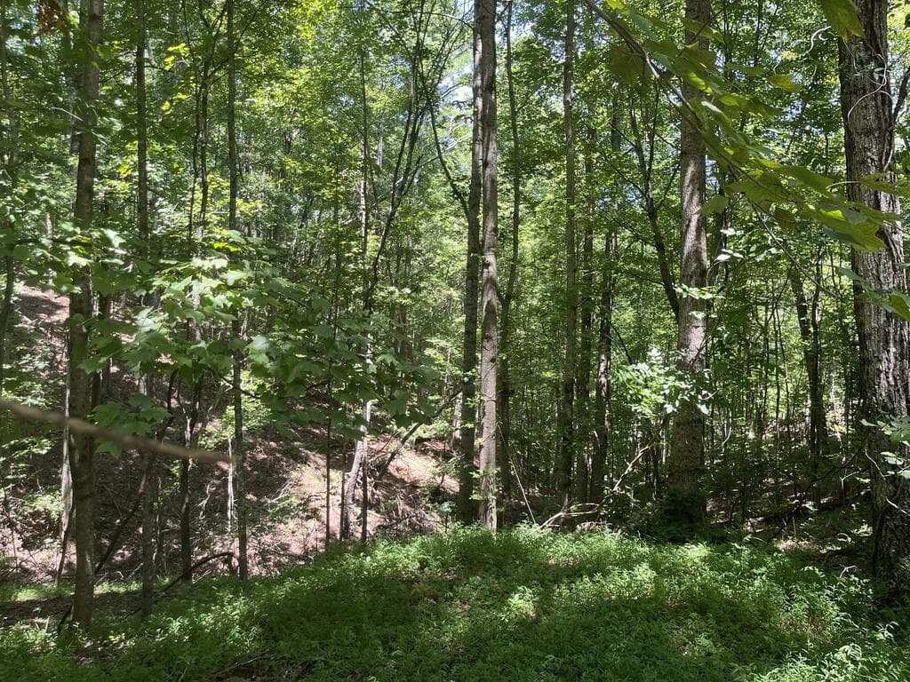 0 Twin Oaks, Ellijay GA 30540 - Primary photo