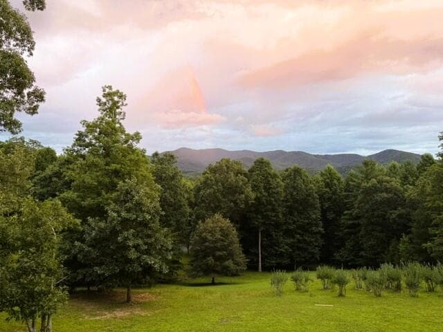 139 Gladys Lane, Young Harris GA 30582 - Photo
