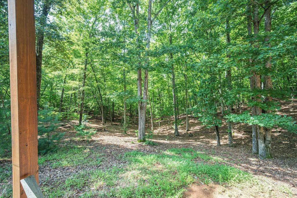 72 Gibbs Trail, Mineral Bluff GA 30559 - Photo