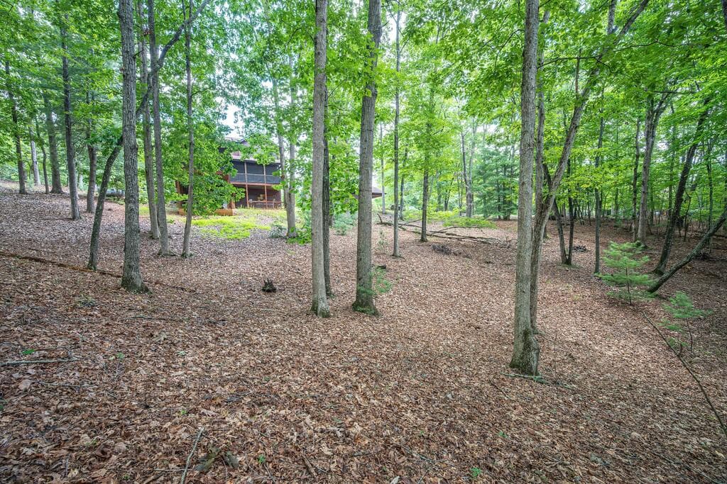 72 Gibbs Trail, Mineral Bluff GA 30559 - Photo