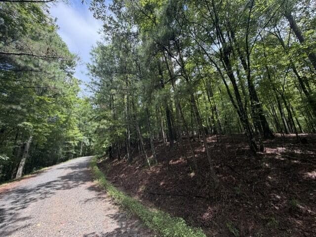0-LT870 Oneida Circle, Ellijay GA 30540 - Photo