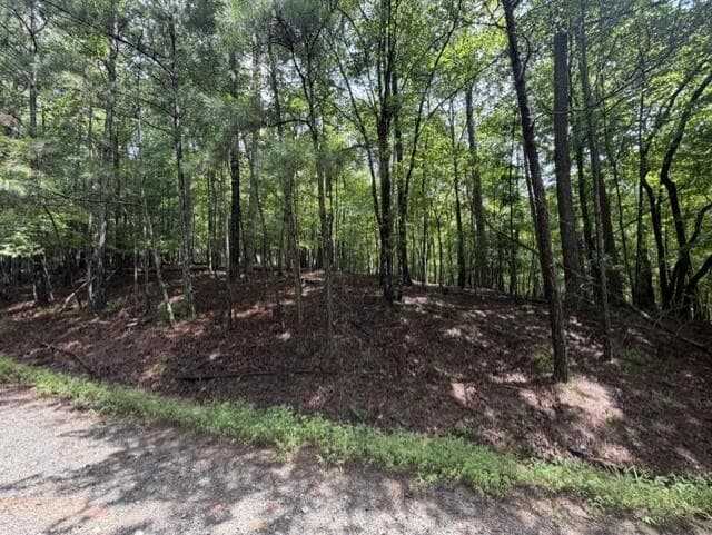 0-LT870 Oneida Circle, Ellijay GA 30540 - Photo