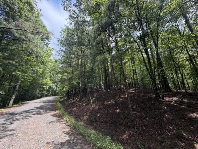 0-LT870 Oneida Circle, Ellijay GA 30540 - Photo