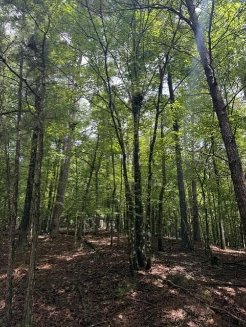 0-LT870 Oneida Circle, Ellijay GA 30540 - Photo