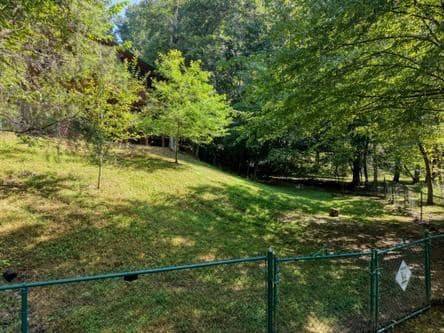 300 Chapman Lane, Blairsville GA 30512 - Photo