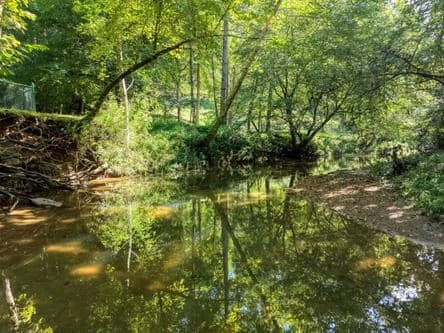 300 Chapman Lane, Blairsville GA 30512 - Photo