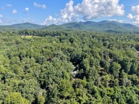 300 Chapman Lane, Blairsville GA 30512 - Photo