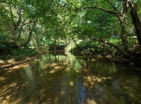 300 Chapman Lane, Blairsville GA 30512 - Photo