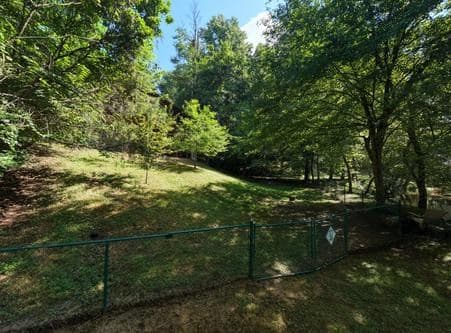 300 Chapman Lane, Blairsville GA 30512 - Photo