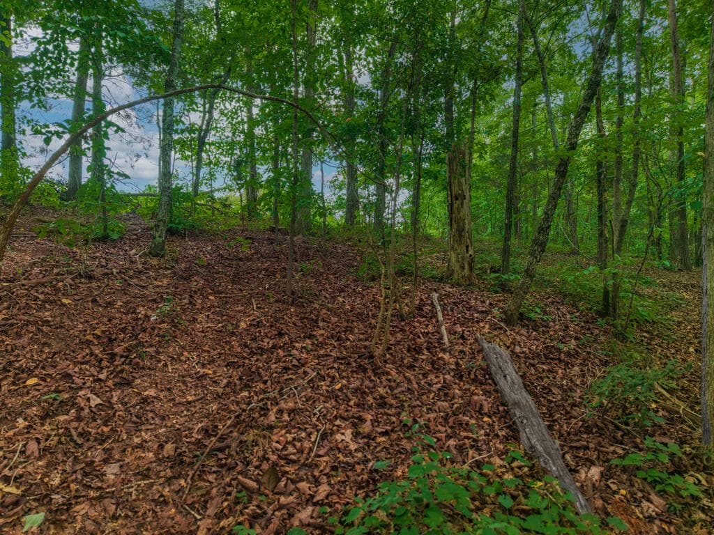 0 Hobgood Road, Rydal GA 30171 - Photo