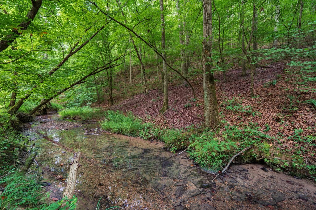 0 Hobgood Road, Rydal GA 30171 - Photo