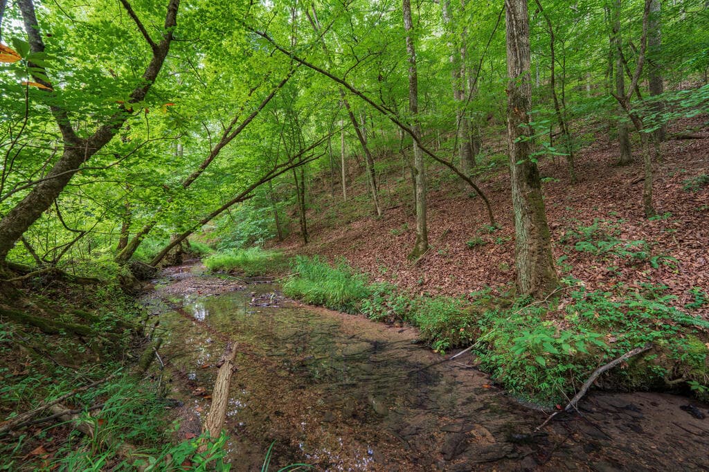 0 Hobgood Road, Rydal GA 30171 - Photo