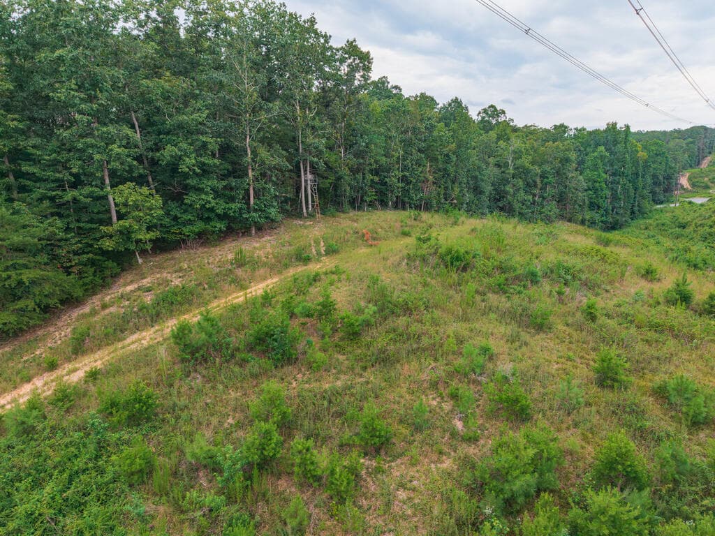 0 Hobgood Road, Rydal GA 30171 - Photo