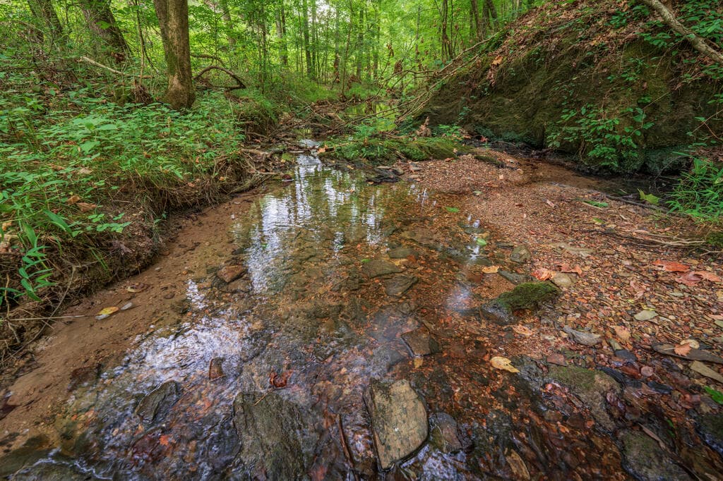 0 Hobgood Road, Rydal GA 30171 - Photo