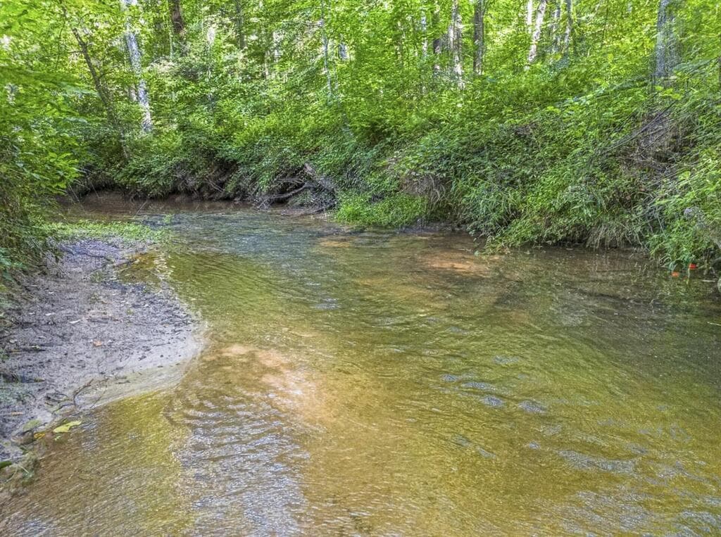 245 Sunrise Valley Road, Blue Ridge GA 30513 - Photo