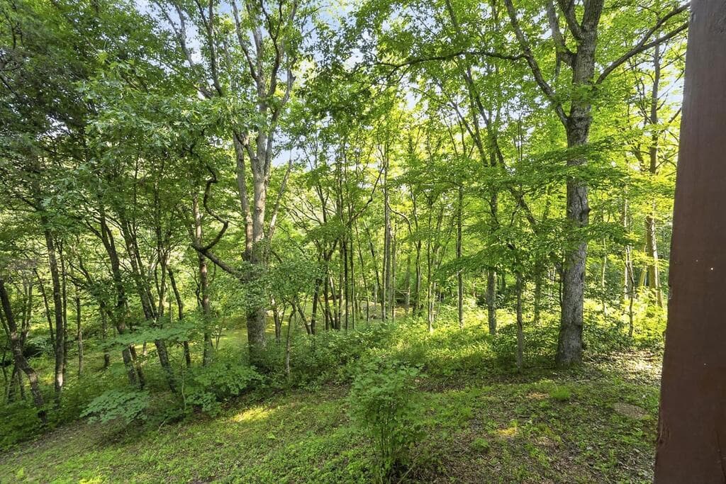 245 Sunrise Valley Road, Blue Ridge GA 30513 - Photo