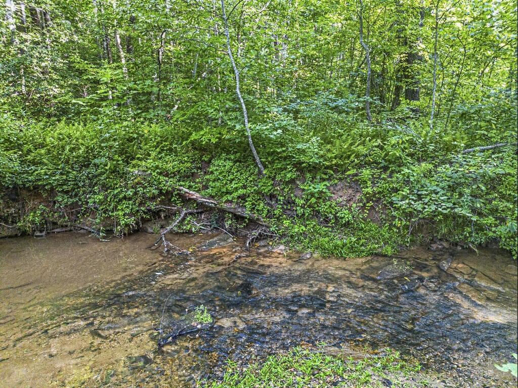 245 Sunrise Valley Road, Blue Ridge GA 30513 - Photo