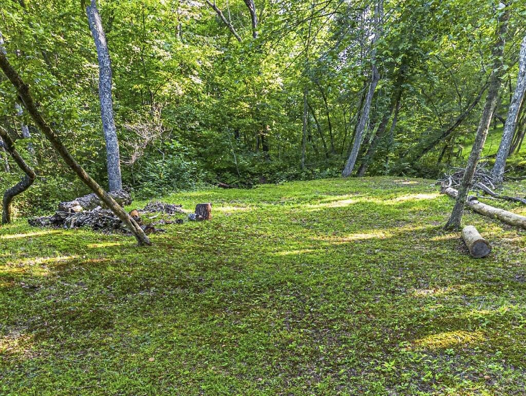 245 Sunrise Valley Road, Blue Ridge GA 30513 - Photo