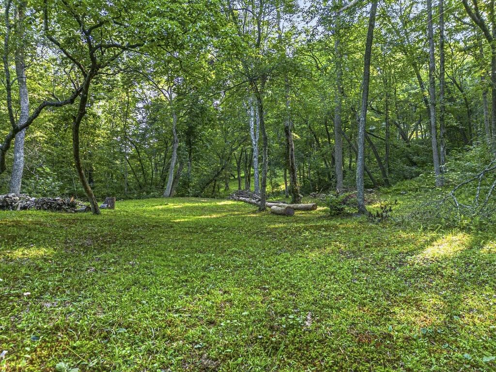 245 Sunrise Valley Road, Blue Ridge GA 30513 - Photo