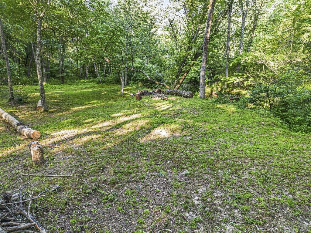 245 Sunrise Valley Road, Blue Ridge GA 30513 - Photo