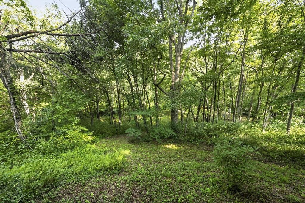245 Sunrise Valley Road, Blue Ridge GA 30513 - Photo