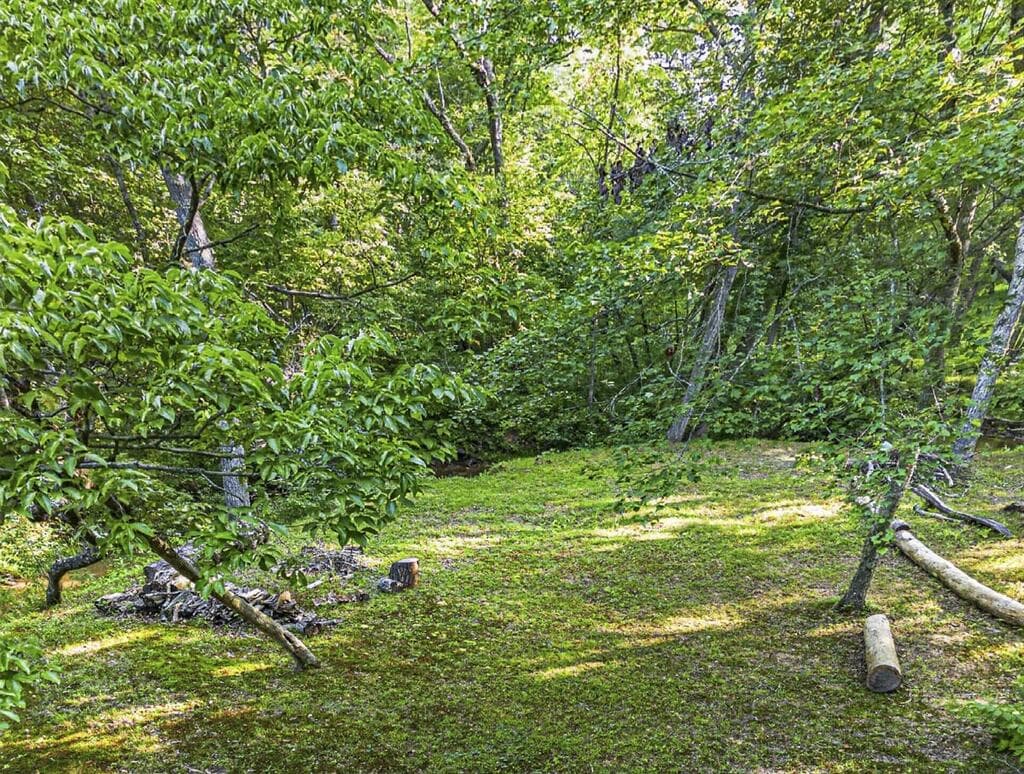 245 Sunrise Valley Road, Blue Ridge GA 30513 - Photo