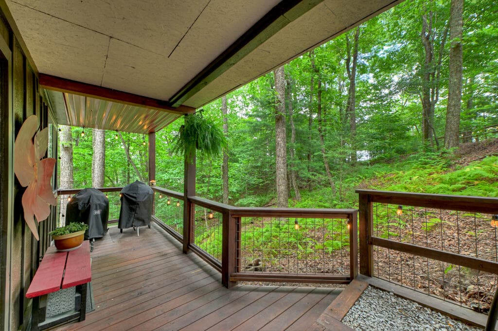 9 Casey Court, Blue Ridge GA 30513 - Photo