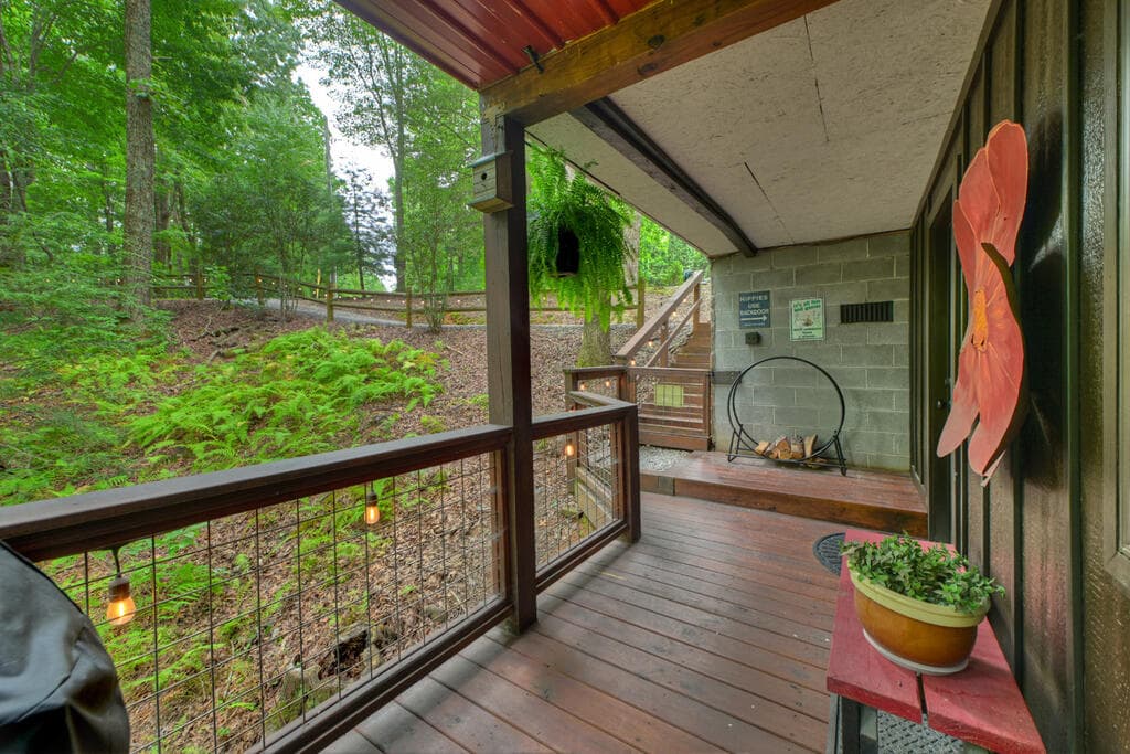 9 Casey Court, Blue Ridge GA 30513 - Photo