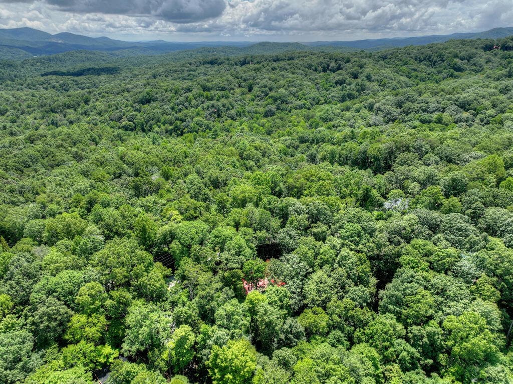9 Casey Court, Blue Ridge GA 30513 - Photo