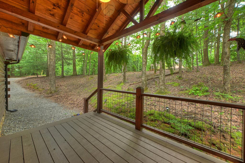 9 Casey Court, Blue Ridge GA 30513 - Photo