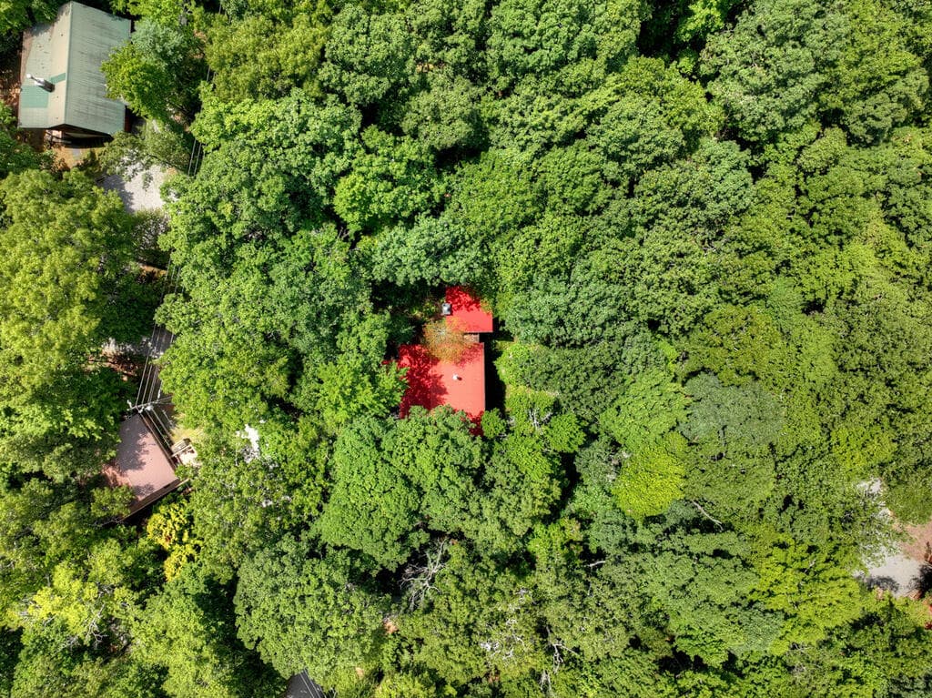9 Casey Court, Blue Ridge GA 30513 - Photo