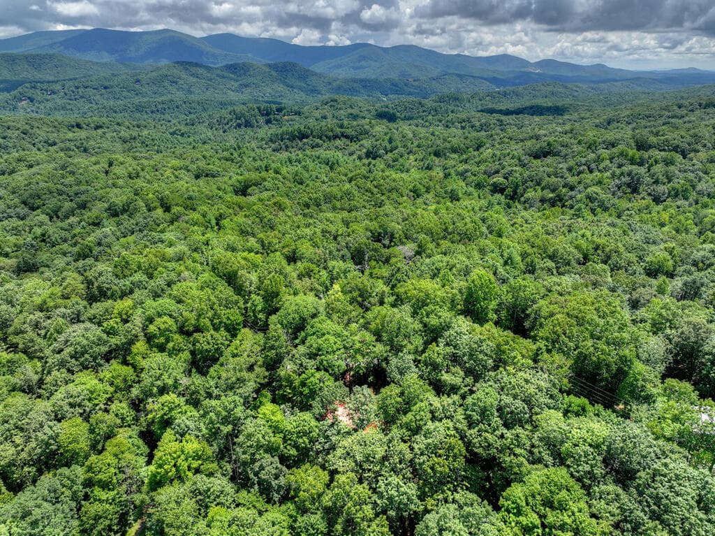 9 Casey Court, Blue Ridge GA 30513 - Photo