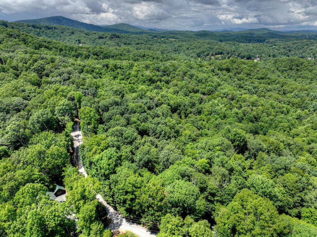 9 Casey Court, Blue Ridge GA 30513 - Photo