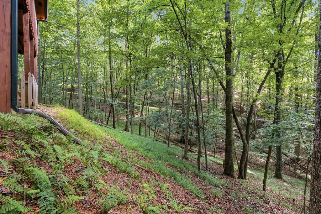 288 Ridgecrest Circle, Ellijay GA 30540 - Photo