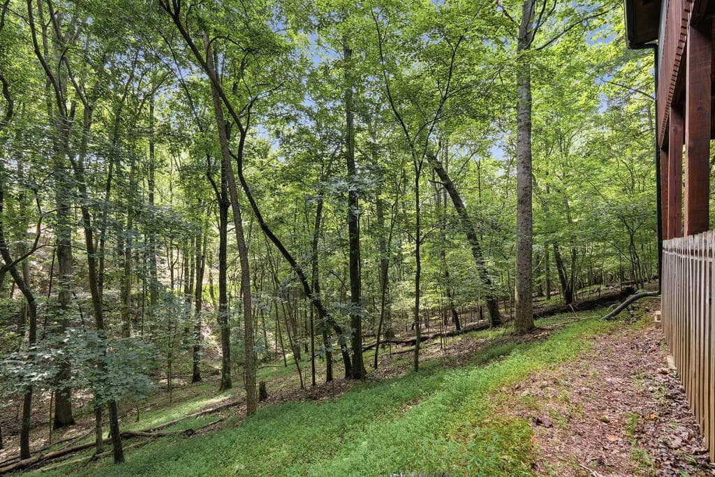 288 Ridgecrest Circle, Ellijay GA 30540 - Photo