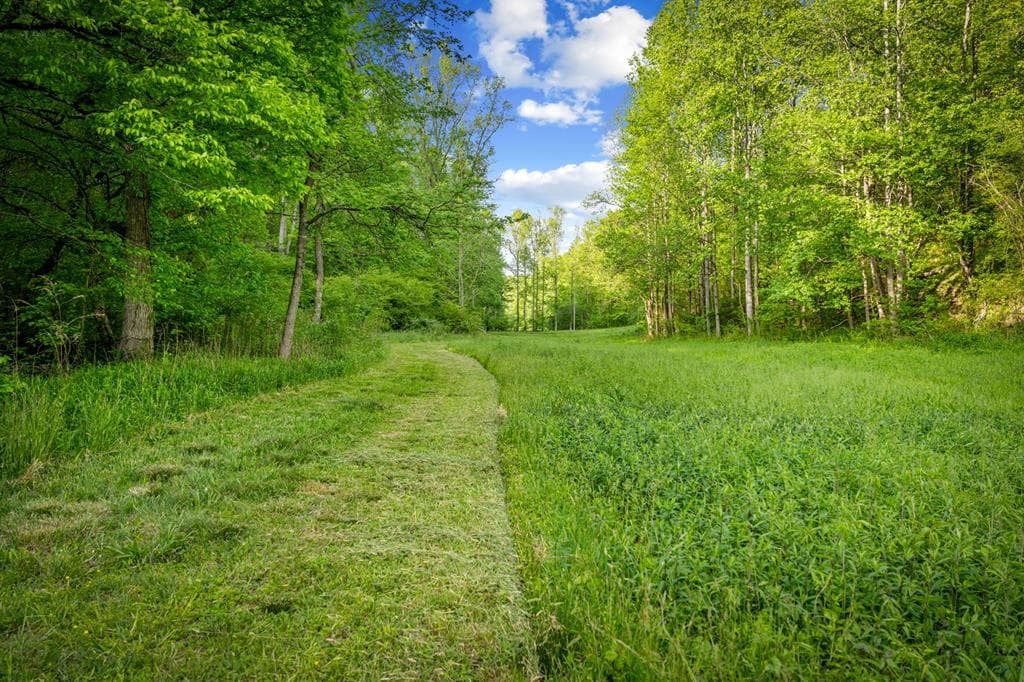 460 Wikle Drive, Ellijay GA 30540 - Photo