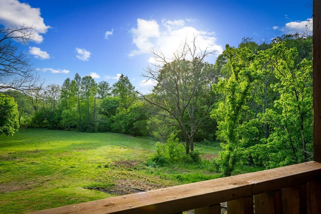 460 Wikle Drive, Ellijay GA 30540 - Photo