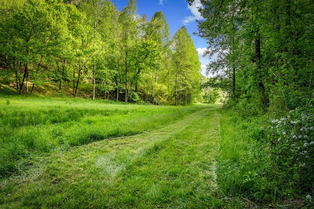 460 Wikle Drive, Ellijay GA 30540 - Photo