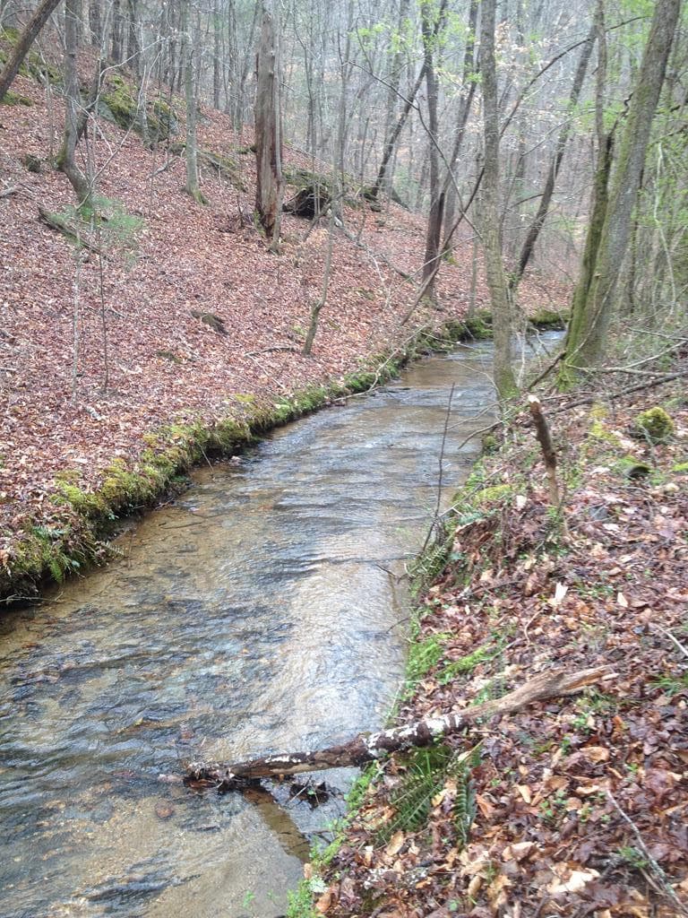 460 Wikle Drive, Ellijay GA 30540 - Photo