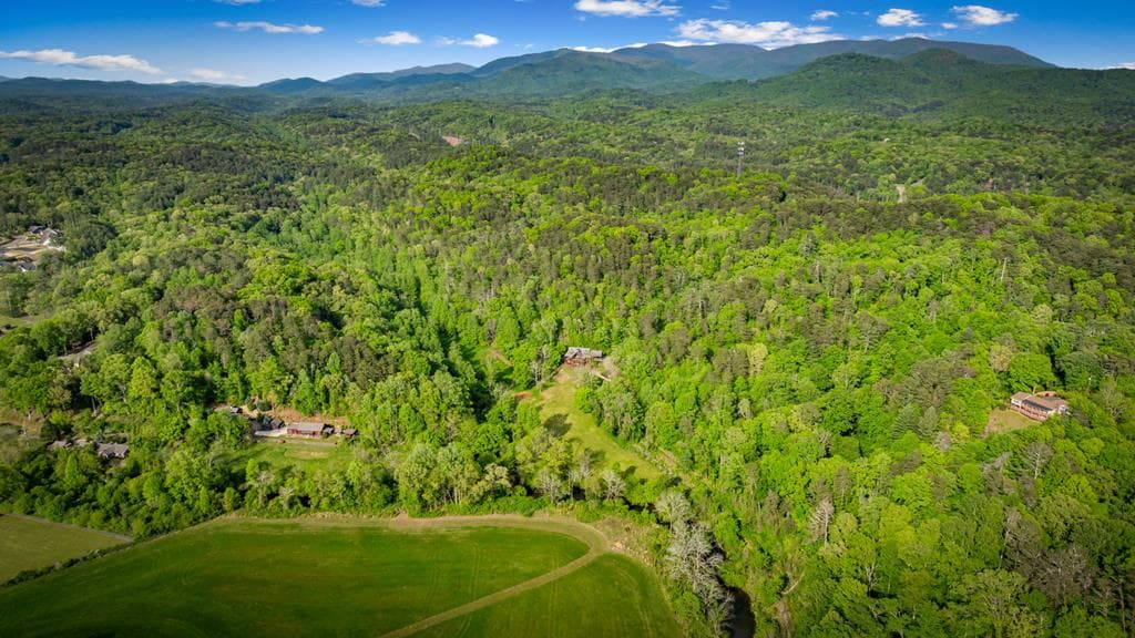 460 Wikle Drive, Ellijay GA 30540 - Photo