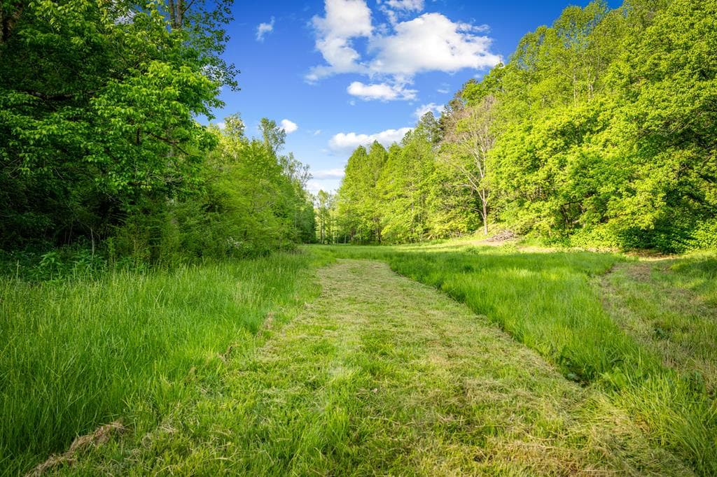 460 Wikle Drive, Ellijay GA 30540 - Photo
