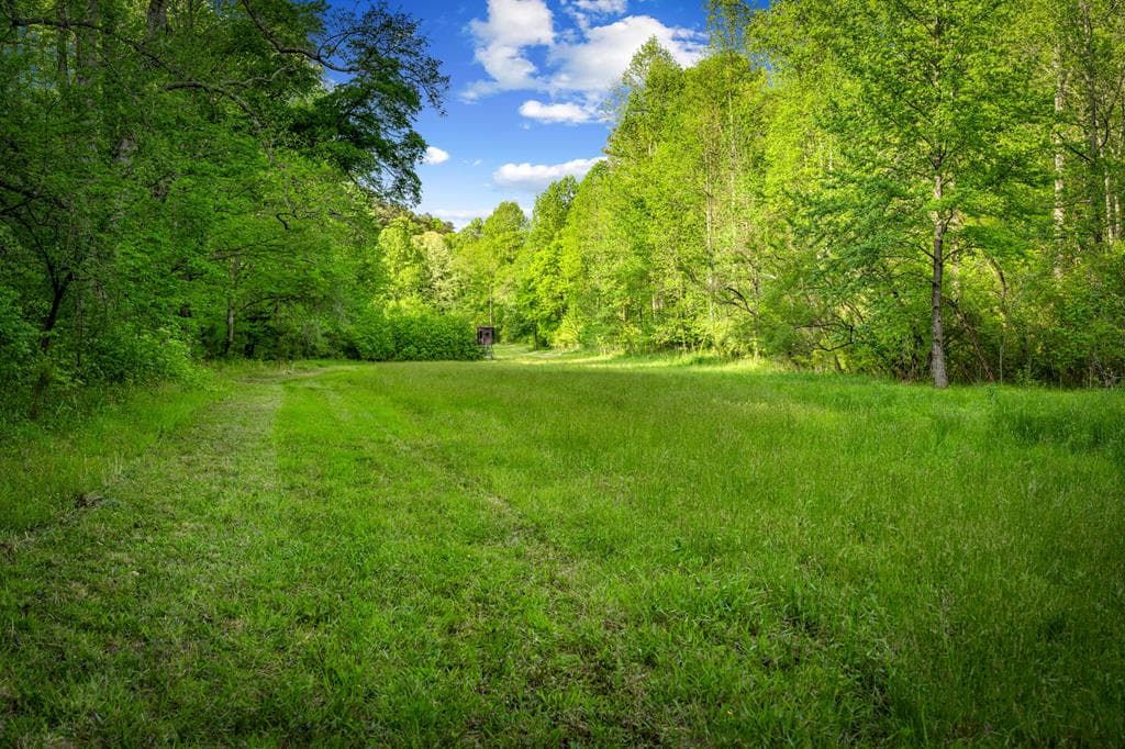 460 Wikle Drive, Ellijay GA 30540 - Photo