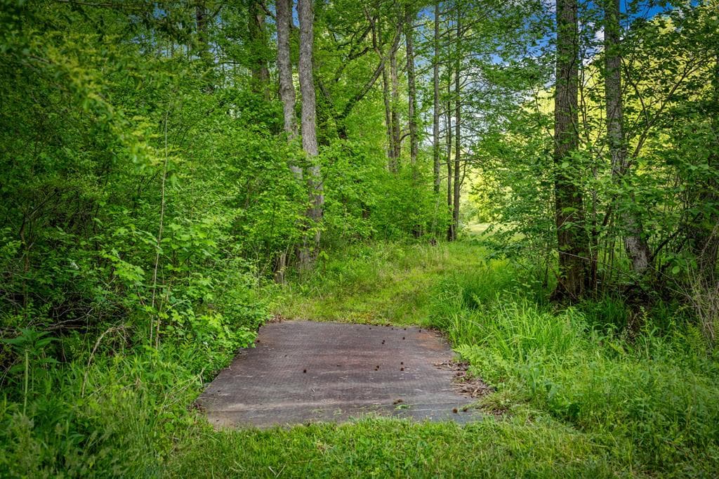 460 Wikle Drive, Ellijay GA 30540 - Photo
