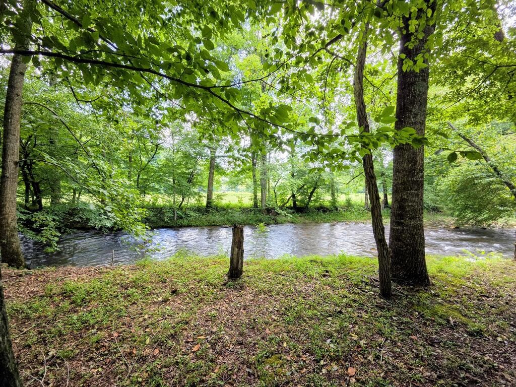 201 Ama Lane, Hayesville NC 28904 - Photo