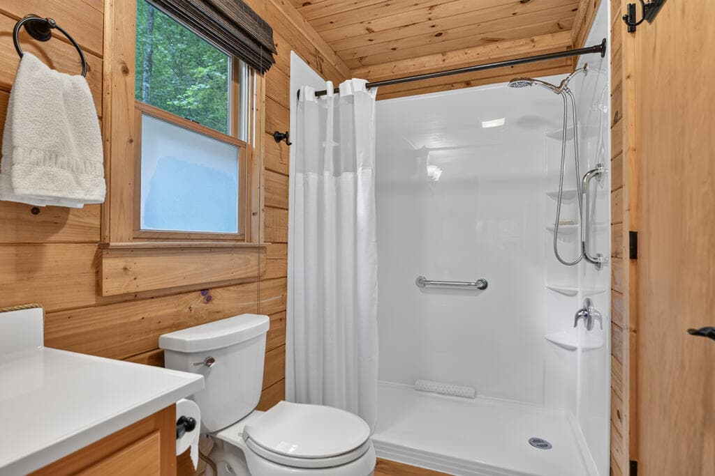 234 Holly Hollow Road, Cherry Log GA 30522 - Photo