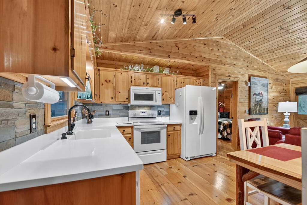 234 Holly Hollow Road, Cherry Log GA 30522 - Photo