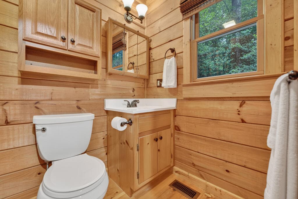 234 Holly Hollow Road, Cherry Log GA 30522 - Photo