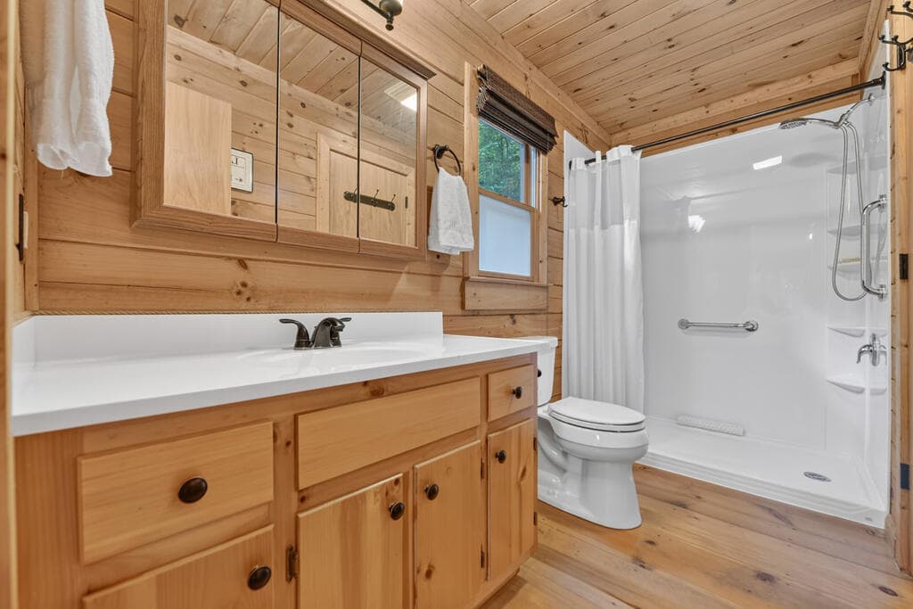 234 Holly Hollow Road, Cherry Log GA 30522 - Photo