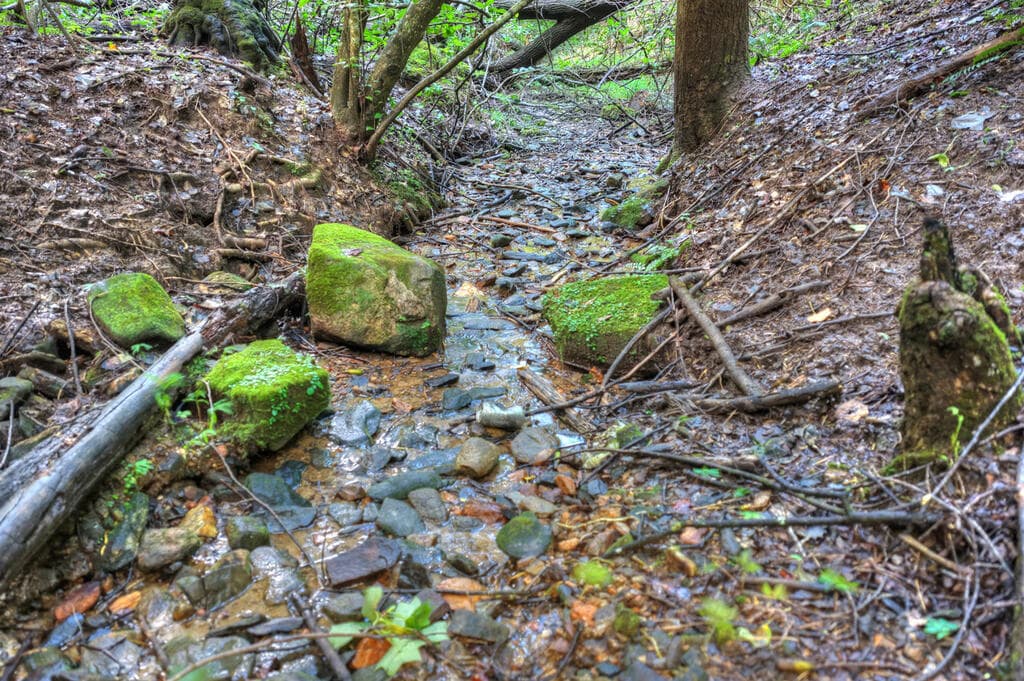 234 Holly Hollow Road, Cherry Log GA 30522 - Photo